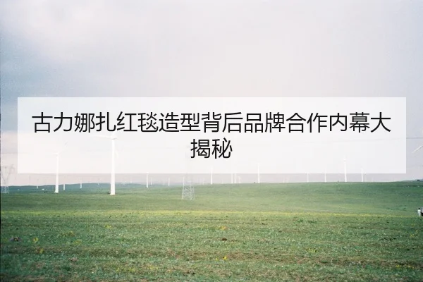 gu-li-na-zha-hong-tan-zao-xing-bei-hou-pin-pai-he-zuo-nei-mu-da-jie-mi-1-933.jpg