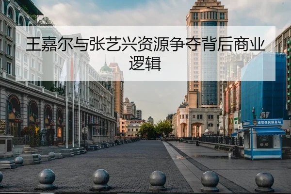 wang-jia-er-yu-zhang-yi-xing-zi-yuan-zheng-duo-bei-hou-shang-ye-luo-ji-1-121.jpg