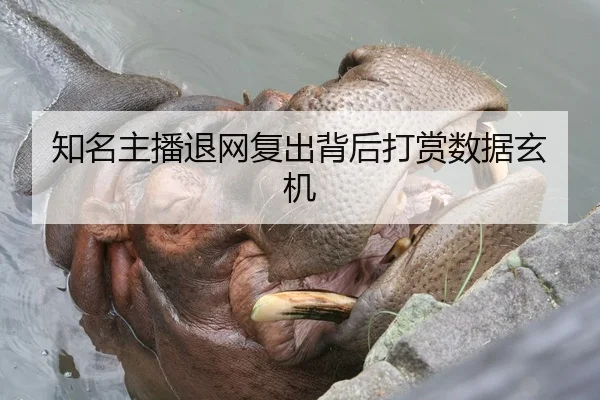 知名主播退网复出背后打赏数据玄机